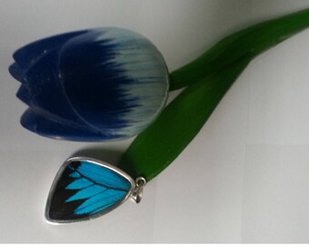 Silver Papilio Ulysses Butterfly Wing Pendant