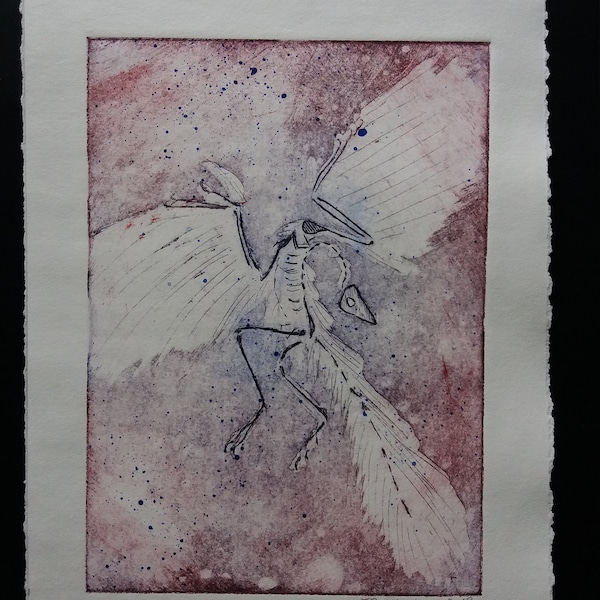 Multicolor Graceful Archaeopteryx fossil Copper Plate Etching one of a kind intaglio print acid etch aquatint