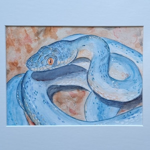 May include: Watercolor painting of a blue snake with an orange eye, curled up on a brown background.
