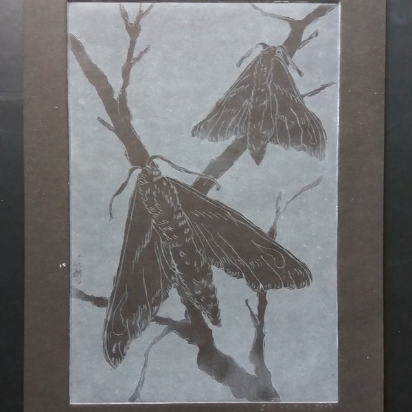 Black Moths Copper Plate Etching one of a kind intaglio print acid etch aquatint