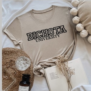 Bichota University