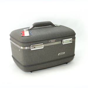 May include: Gray fabric travel case with a silver metal handle and trim. The case has a luggage tag attached to the handle and a "VIP-MATIC" label on the front.