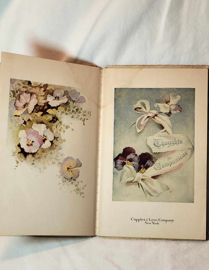 May include: Open book with two pages featuring floral illustrations. One page displays a cluster of pansies in shades of purple, white, and yellow. The other page has a ribbon with text that reads "Thoughts for Companions".