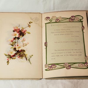 May include: An open book with a floral illustration and poetry. The left page features a branch with pink and white blossoms. The right page has a green-bordered poem with floral accents and the text "THE birds have homes..."