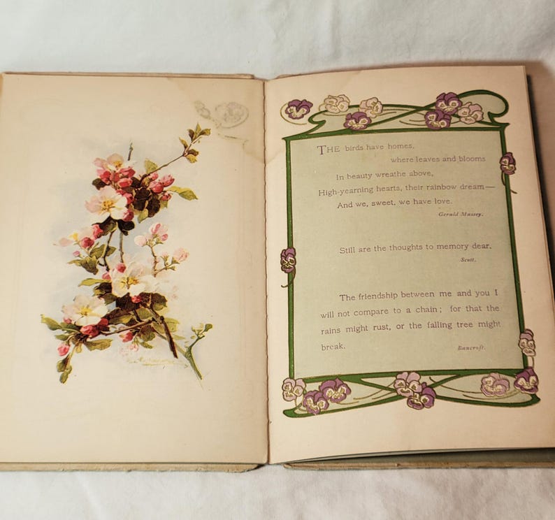 May include: An open book with a floral illustration and poetry. The left page features a branch with pink and white blossoms. The right page has a green-bordered poem with floral accents and the text "THE birds have homes..."