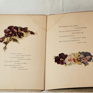 May include: Open book with two pages. The left page features a floral illustration of dark purple pansies with yellow accents and text. The right page has a floral illustration of pansies in various colors and text.