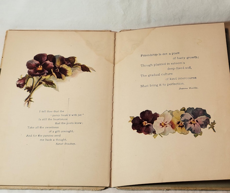 May include: Open book with two pages. The left page features a floral illustration of dark purple pansies with yellow accents and text. The right page has a floral illustration of pansies in various colors and text.