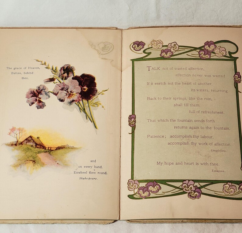 May include: Open book with two pages. The left page features a watercolor illustration of a house and a bouquet of purple pansies. The right page has a poem with decorative floral borders and the text "Talk not of wasted affection."