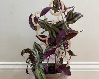 Plant Trellis, Wood Plant Trellis, Indoor Plant Trellis, Plant Lover Gift
