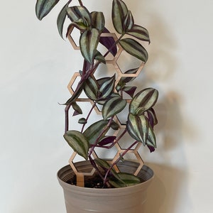 Pflanzengitter, Holzpflanzengitter, Zimmerpflanzengitter, Pflanzenliebhaber Geschenk