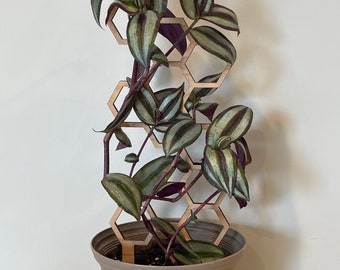 Plant Trellis, Wood Plant Trellis, Indoor Plant Trellis, Plant Lover Gift