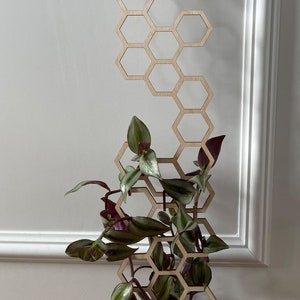 Hexagon Plant Trellis Extension, Wood Plant Trellis, Indoor Plant Trellis, Plant Lover Gift