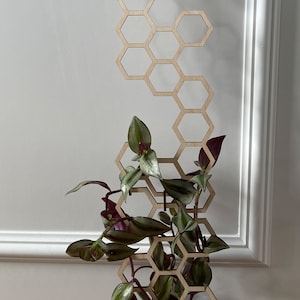 Hexagon Plant Trellis Extension, Wood Plant Trellis, Indoor Plant Trellis, Plant Lover Gift