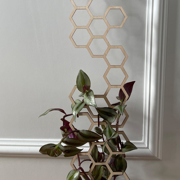 Extra Tall Hexagon Plant Trellis SVG, PDF, DXF for Glowforge Pro Plant Trellis, Indoor Plant Trellis, Plant Lover Gift