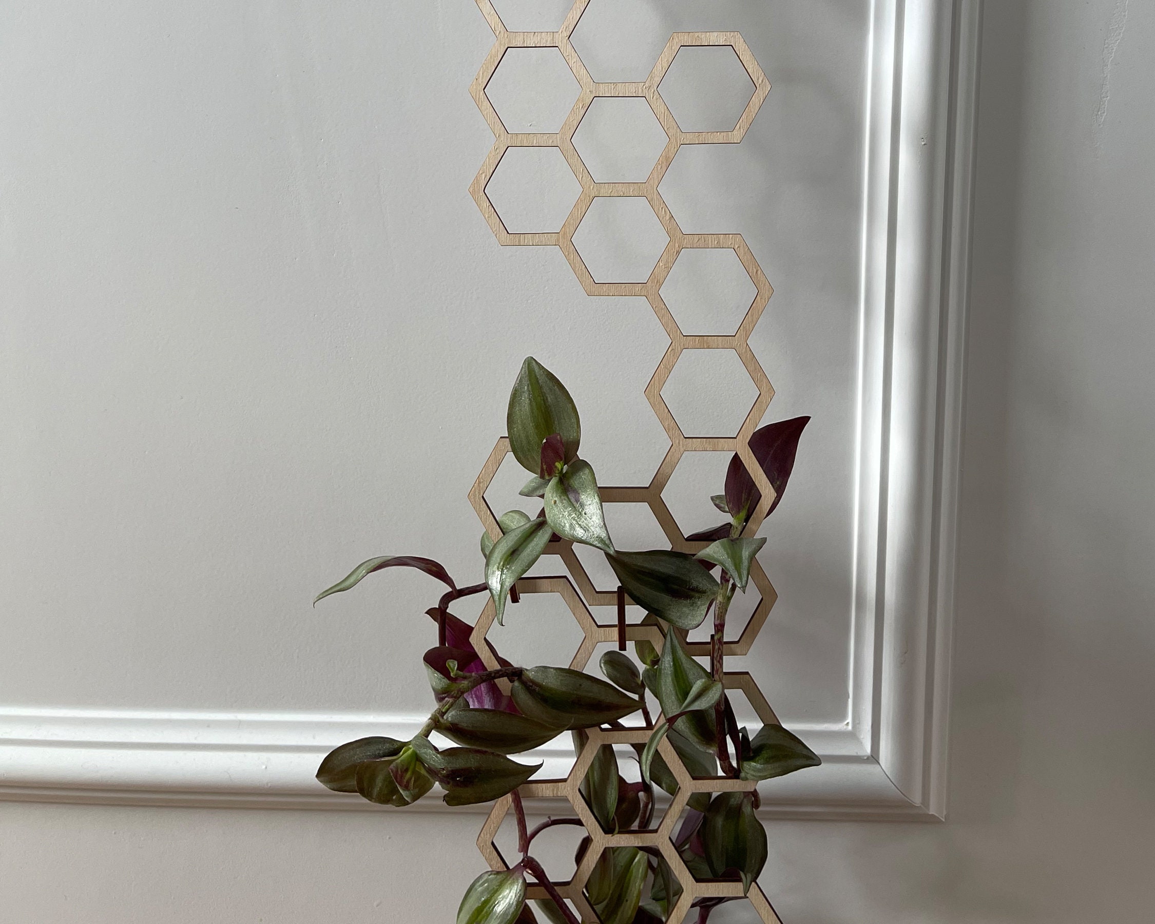 Extra Tall Hexagon Plant Trellis SVG, PDF, DXF for Glowforge Pro Plant Trellis, Indoor Plant Trellis, Plant Lover Gift