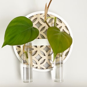 Wall Plant Propagation Station Set van 3 SVG-bundelbestand voor Glowforge Laser Cutter Vector png dxf gesneden bestand, Plant Decor Digitale SVG-bestanden