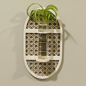 Single Oval Rattan Propagation Station SVG File for Glowforge Laser Cutter Vector png dxf cut file, Plant Decor Digital SVG Files