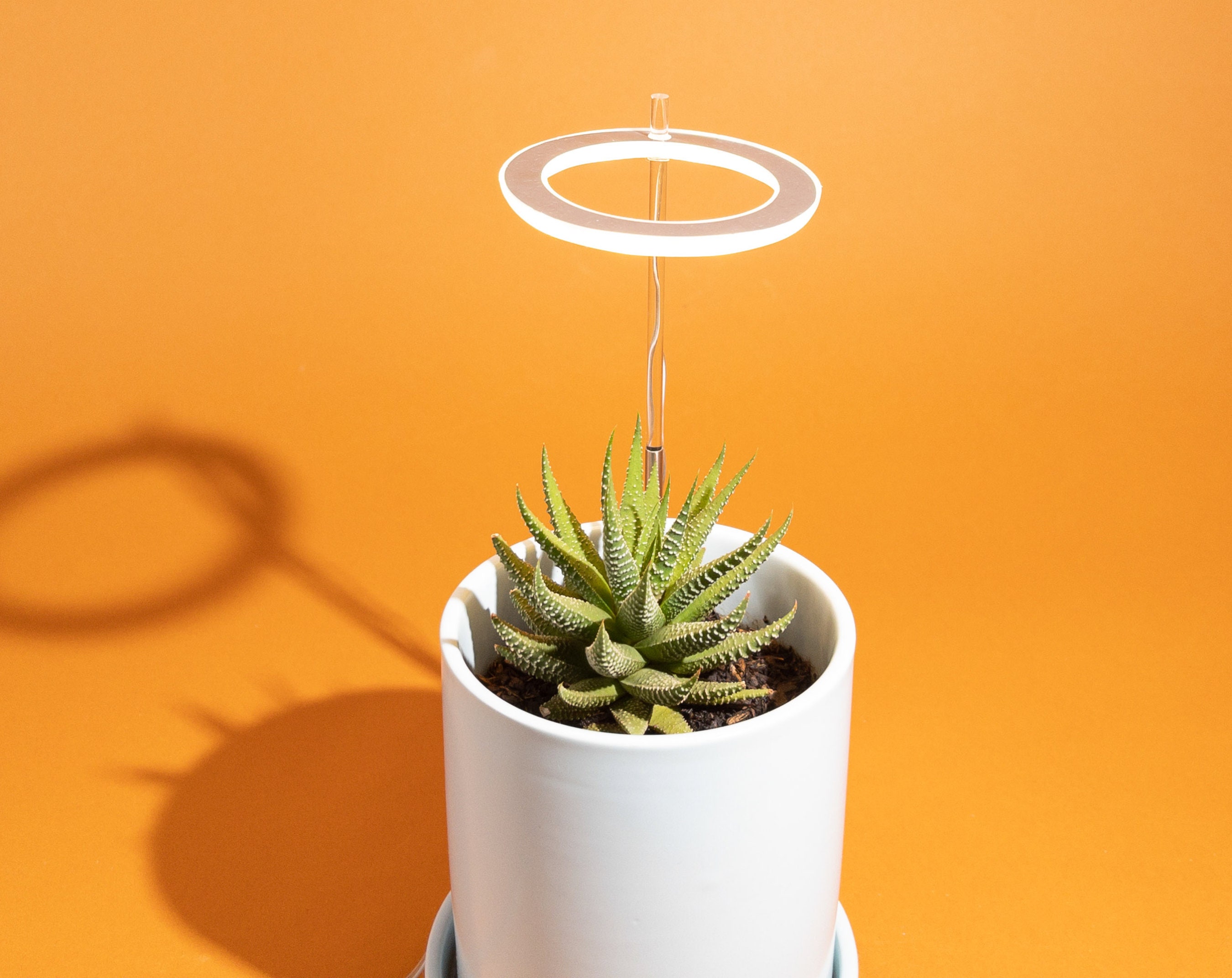 UMIO Angel Ring LED Plant Grow Lights Full Spectrum USB Halo Light