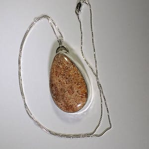 Coral Cabochon on Sterling Silver Pendant, Coral Pendant on Sterling Silver Chain, Coral Pendant, Coral Cabochon image 6