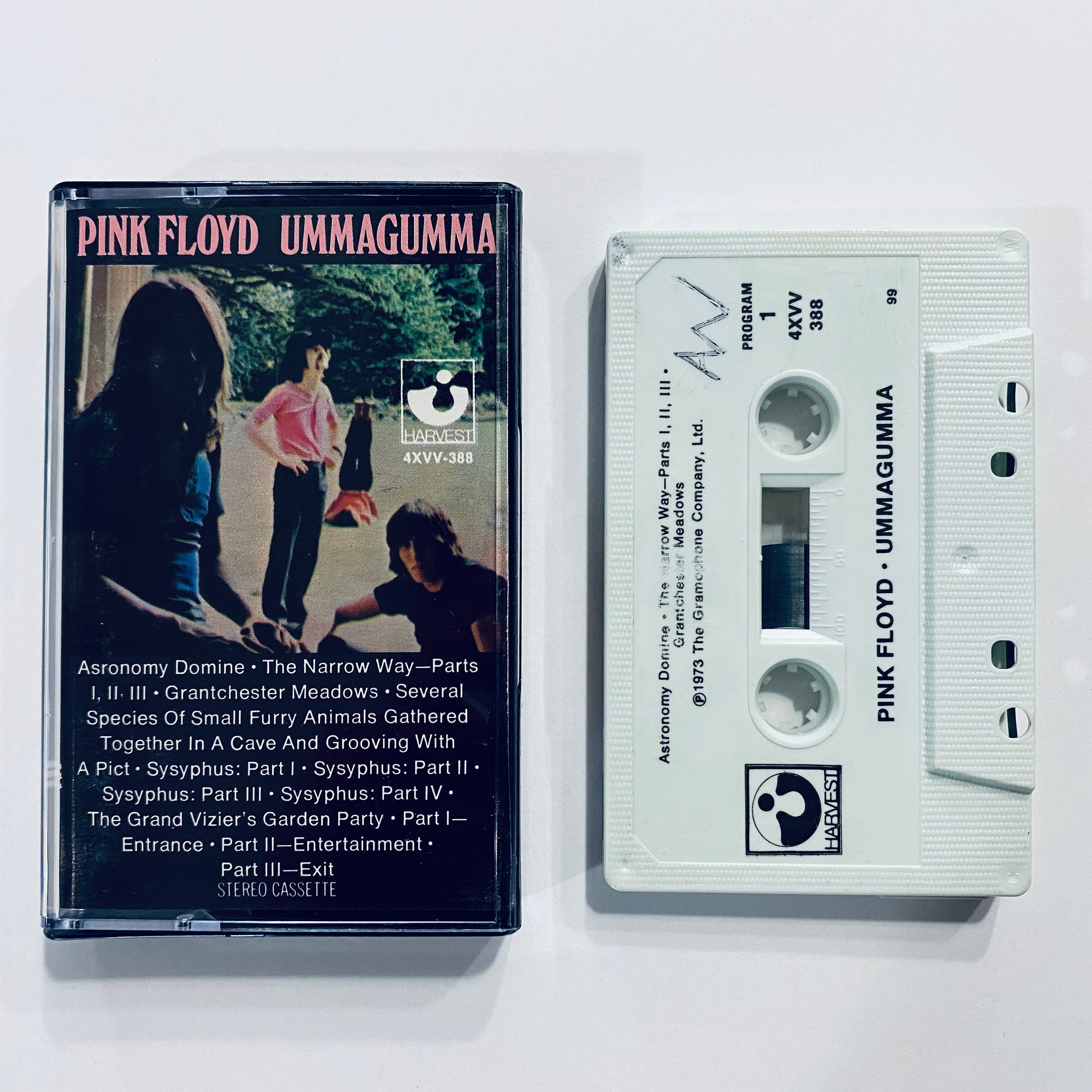 Pink Floyd Ummagumma Cassette Tape Classic Rock TESTED WORKING Vintage Floyd  70s Psychedelic Rock Guaranteed to Work -  Canada