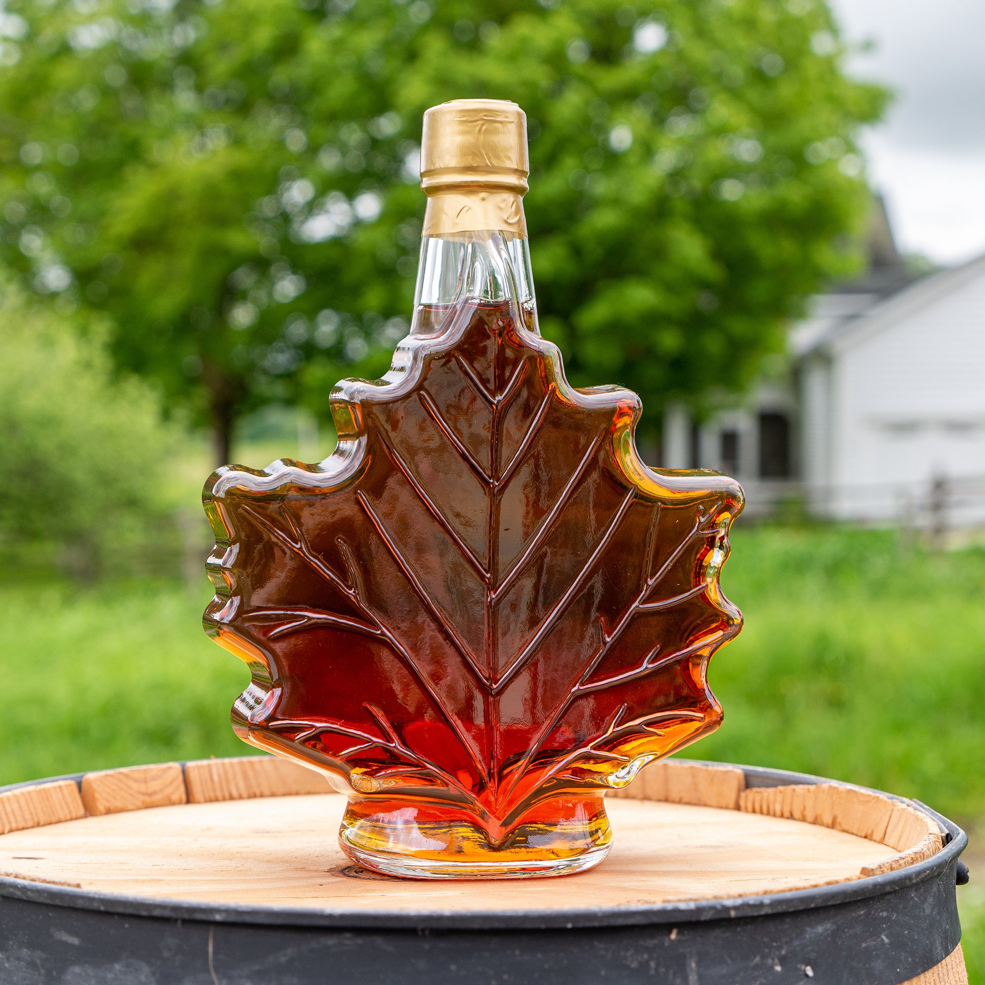 Vermont Maple Syrup in 25.9 Oz Maple Leaf Vermont Food Gift Etsy