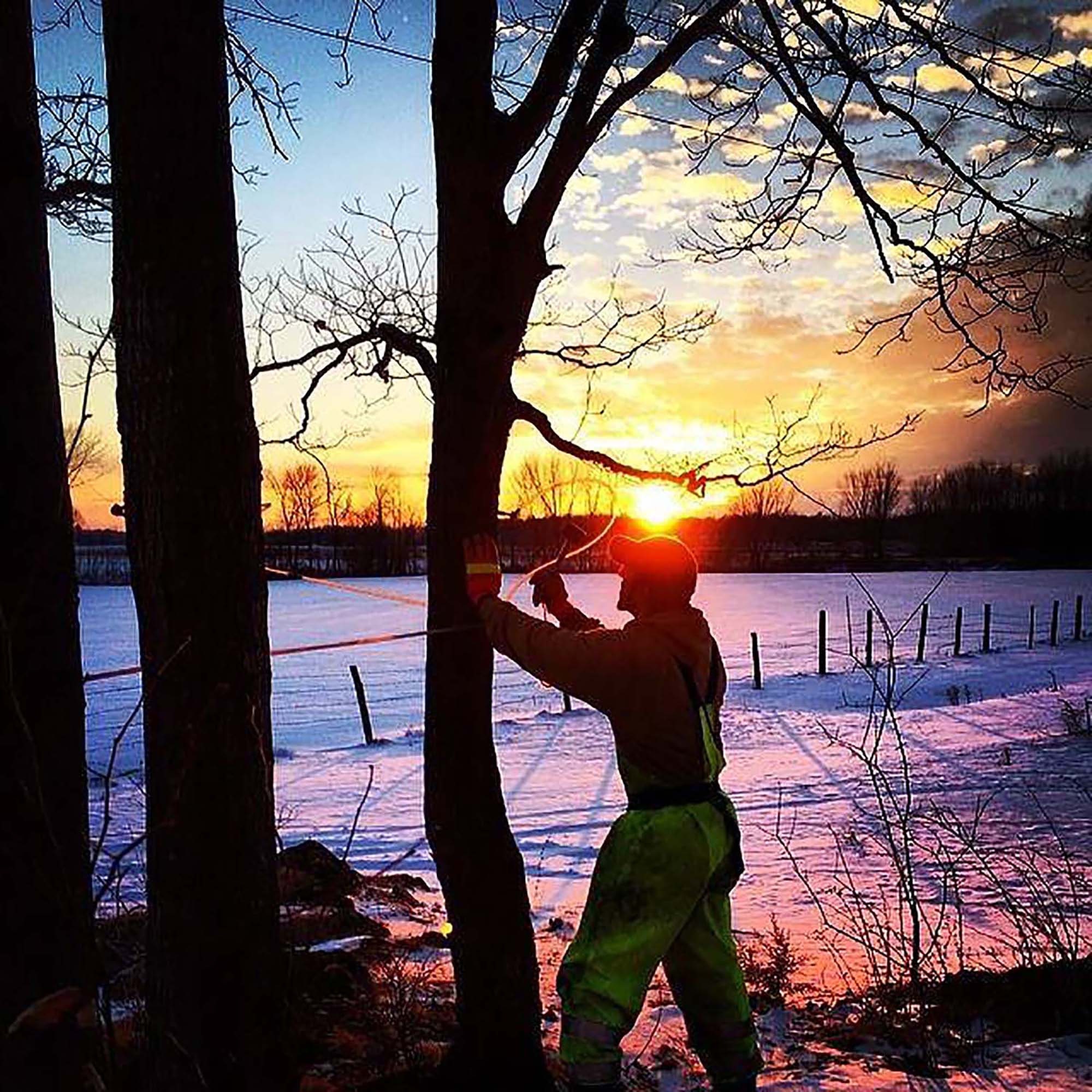 Half Gallon Maple Syrup Vermont Maple Syrup Gluten Free Etsy