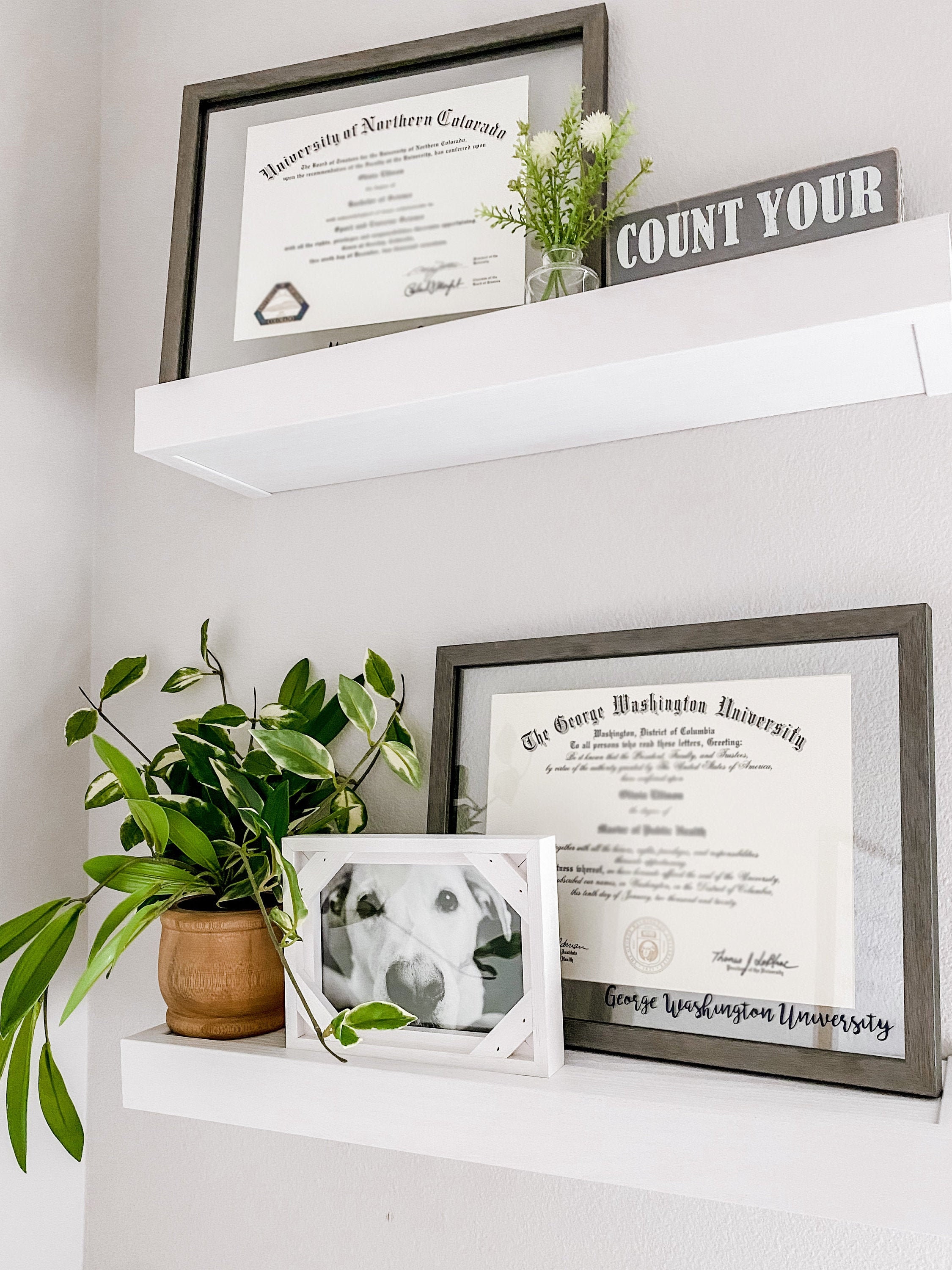 Personalized Diploma Frame Etsy