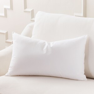 May include: Two white pillows on a white couch. The pillows are rectangular and have a smooth, soft texture.