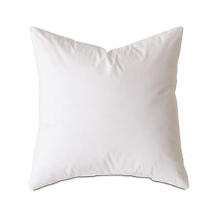 May include: A white pillow with a smooth, soft fabric cover. The pillow is rectangular and has a slightly rounded shape.