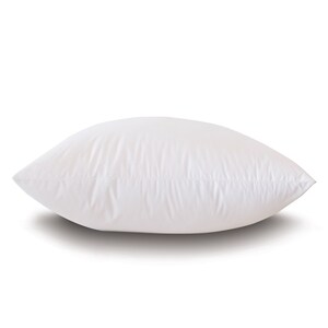 May include: A white pillow with a smooth, soft surface. The pillow is rectangular and has a slight curve to it.