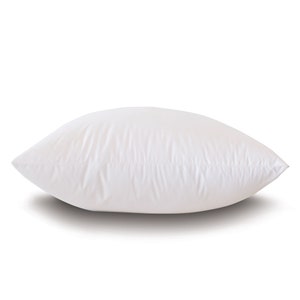 May include: A white pillow with a smooth, soft fabric cover. The pillow is rectangular and has a slight curve to it.