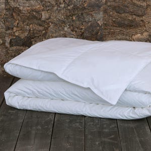 Charleston Hypoallergenic Down Alternative Comforter - 3 Sizes