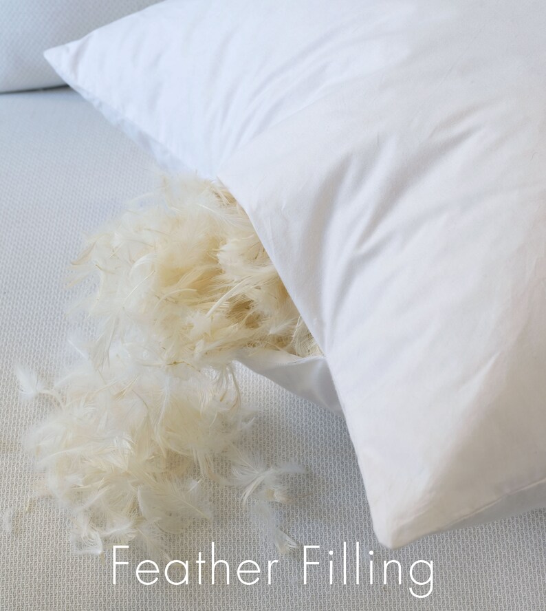 May include: A white pillowcase with a zipper opening, revealing a fluffy white feather filling. The text "Feather Filling" is printed below the pillow.