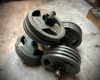 May include: A set of gray cast iron weight plates for a dumbbell. The plates are stacked on a metal bar with a black grip. The plates have the text "WAVERLY" printed on them.