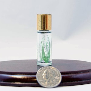 1960's Parfum Muget des Bois Coty Collectible Glass Bottle