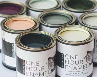 Può includere: Una collezione di barattoli di vernice con il testo "One Hour Enamel" e il marchio "Wise Owl Paint". I barattoli sono di vari colori, tra cui verde, grigio, bianco, rosa e nero.