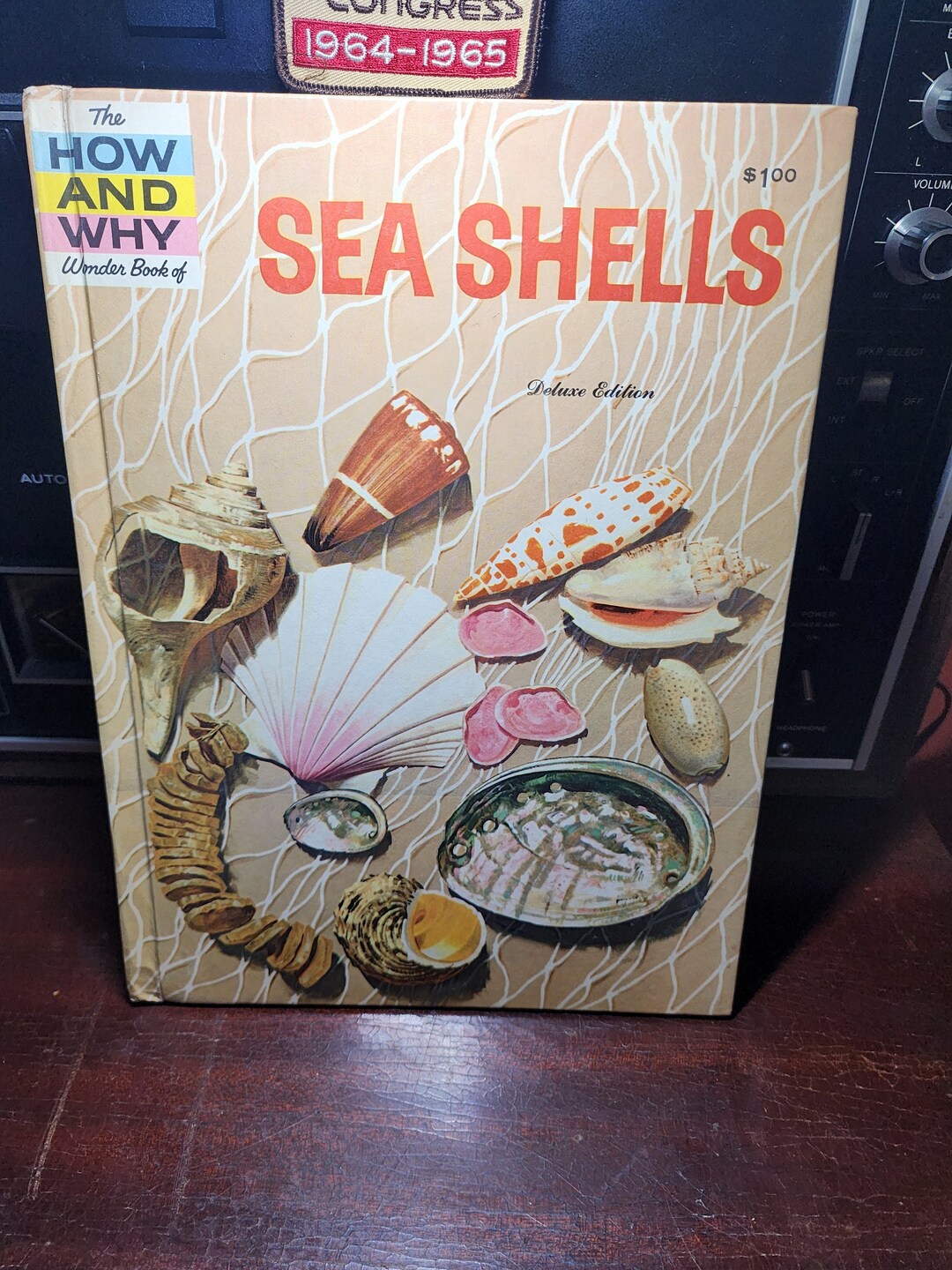 Vintage Hardcover the How and Why of Sea Shells - Etsy