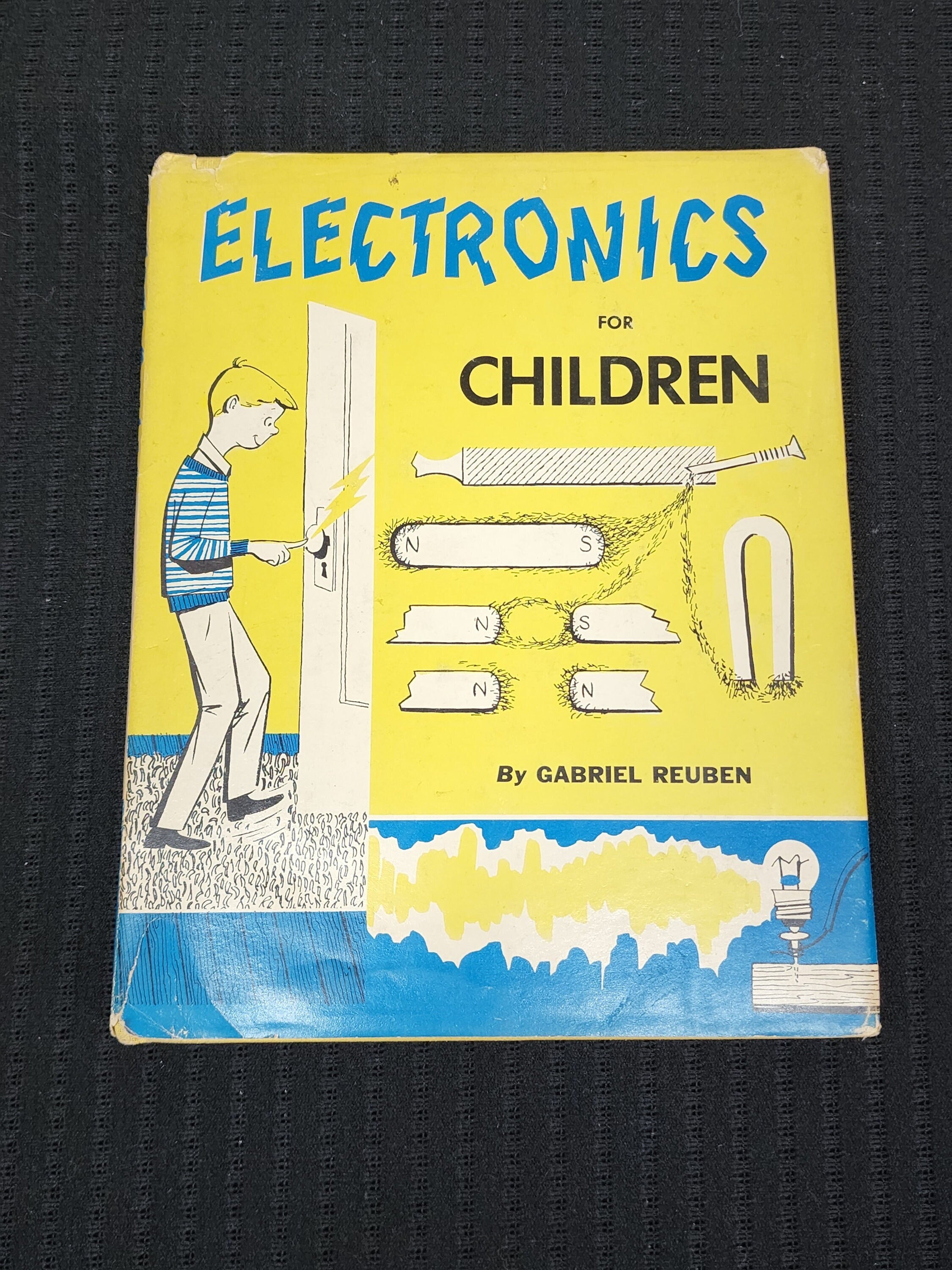 for dummies electronics for kids book