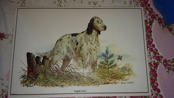 5 Brian Harper Dog Placemats Etsy