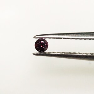 May include: A small, round, dark purple gemstone held in tweezers.