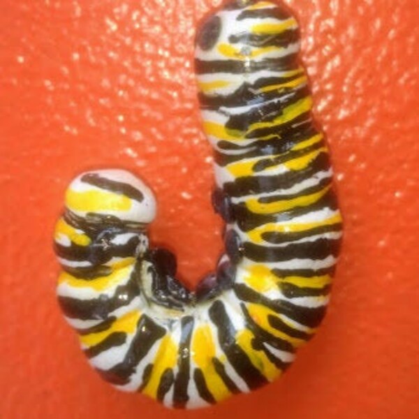 Hang On Monarch Caterpillar