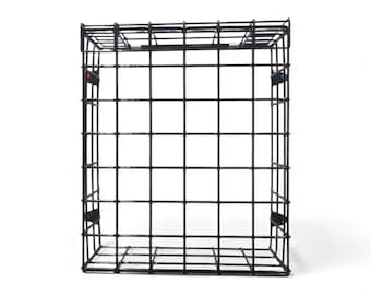 MAIL MORE Letter Catcher For Front Door - Locking Mail Cage, Wall Mount, Clear Design