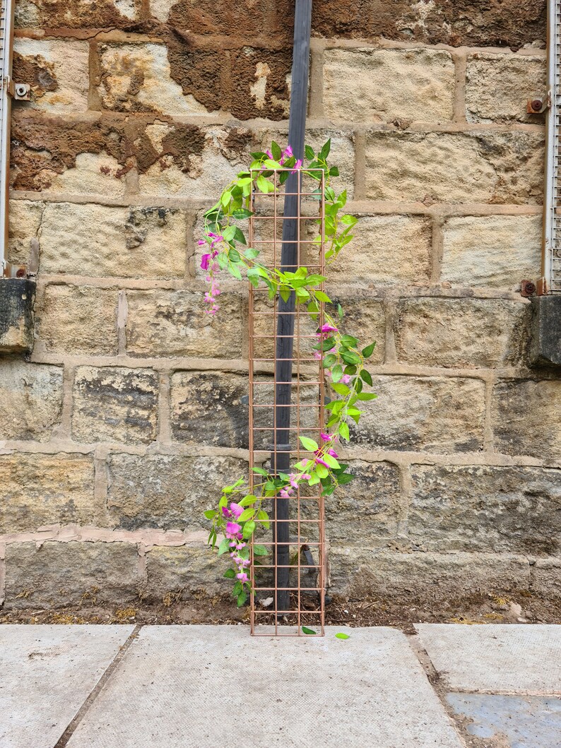 Drain Pipe Garden Mesh Trellis Etsy