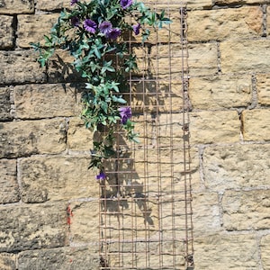 Wall Mounted Wire Mesh Garden Trellis Plant Support Bare Metal