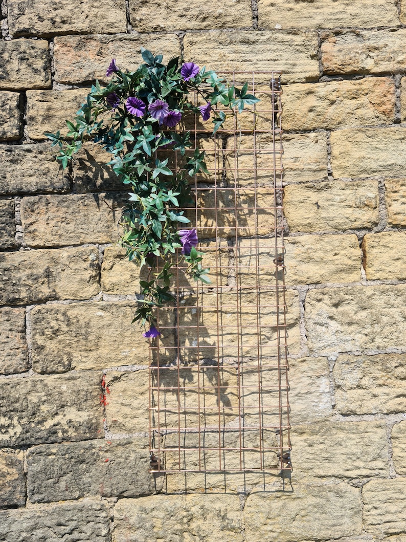 Wall Mounted Wire Mesh Garden Trellis Plant Support Bare Metal