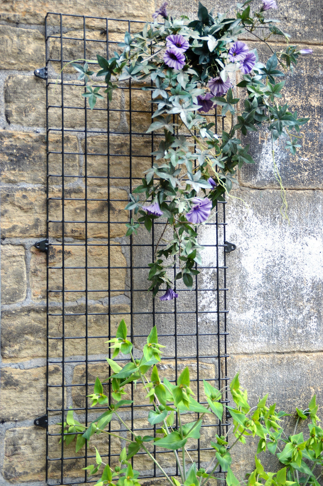 Wall Mounted Wire Mesh Garden Trellis Plant Support Etsy UK