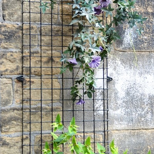 Wall Mounted Wire Mesh Garden Trellis Plant Support Black