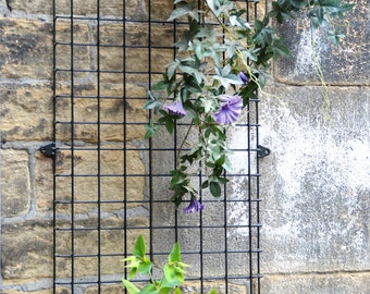 Wall Mounted Wire Mesh Garden Trellis Plant Support