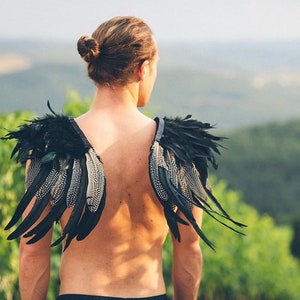 Onyx wings