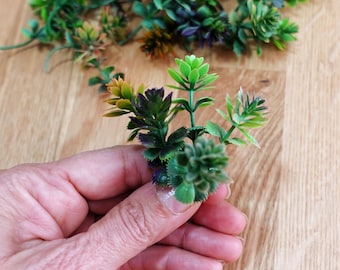 30 mini fausses branches de succulentes